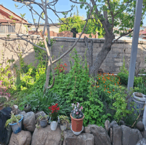 군산 선유도 민박 갤러리 | 무화과민박 사진 | 선유도 숙소 이미지